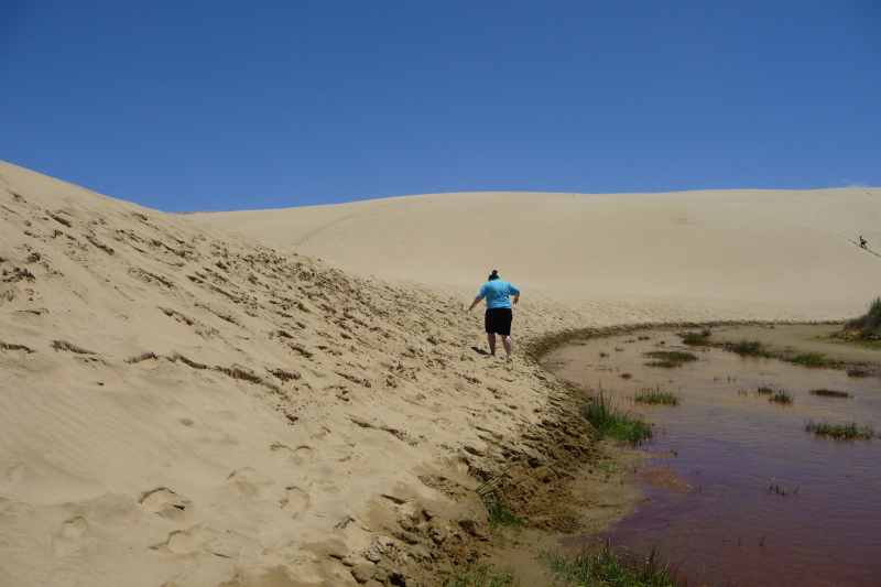 Nieuw-Zeeland 2011 - 0359